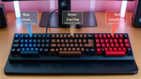 Rekomendasi-Mechanical-Switch-Keyboard-Blue,-Brown,-atau-Red (1)